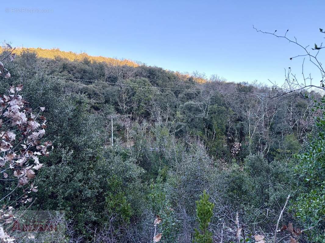 Terrain à SAINT-MARTIN-DE-VALGALGUES