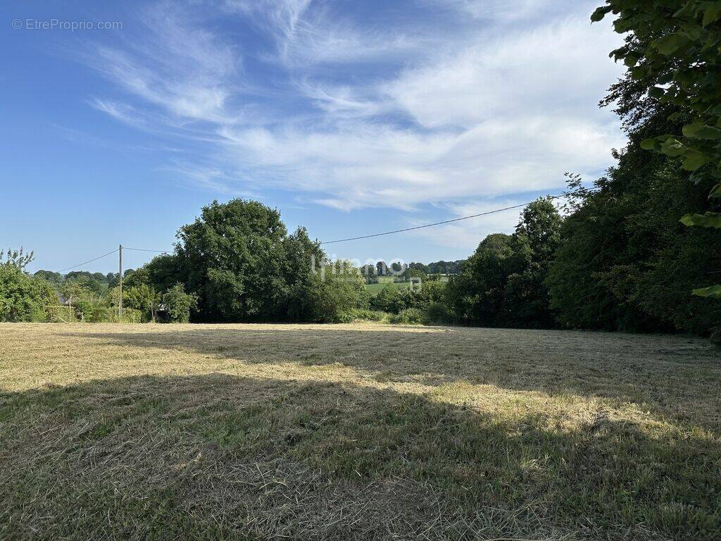 Terrain à SAINT-BOMER-LES-FORGES