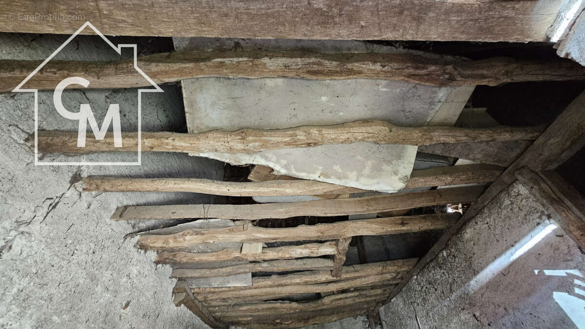 Maison avec dépendance - photo 24