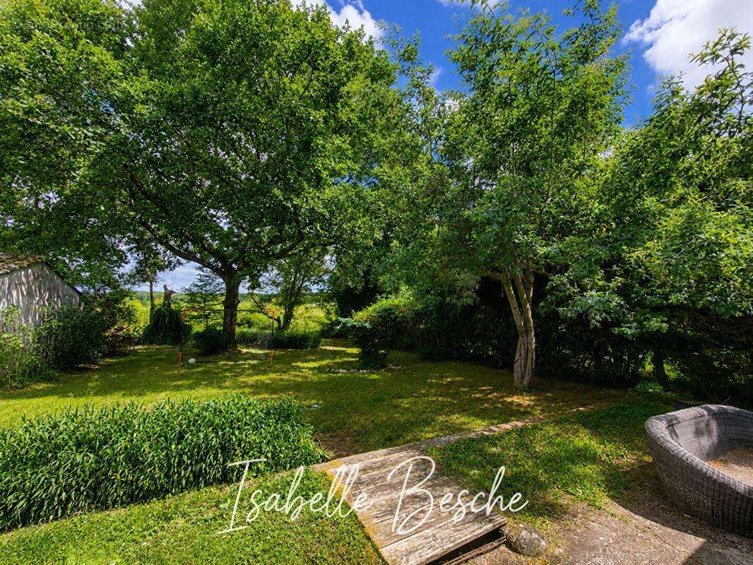 Baron- Maison familiale 4 chambres- Plain pied- Grand terrain arboré - photo 10