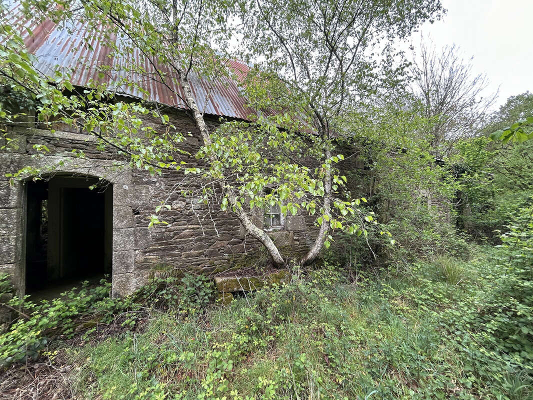 Maison à SAINT-BARTHELEMY