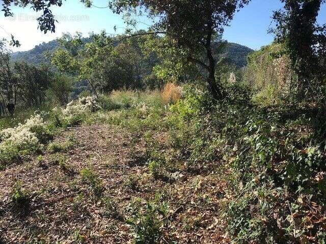 Terrain à LE TIGNET
