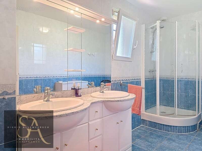 Maison à CARLA-BAYLE