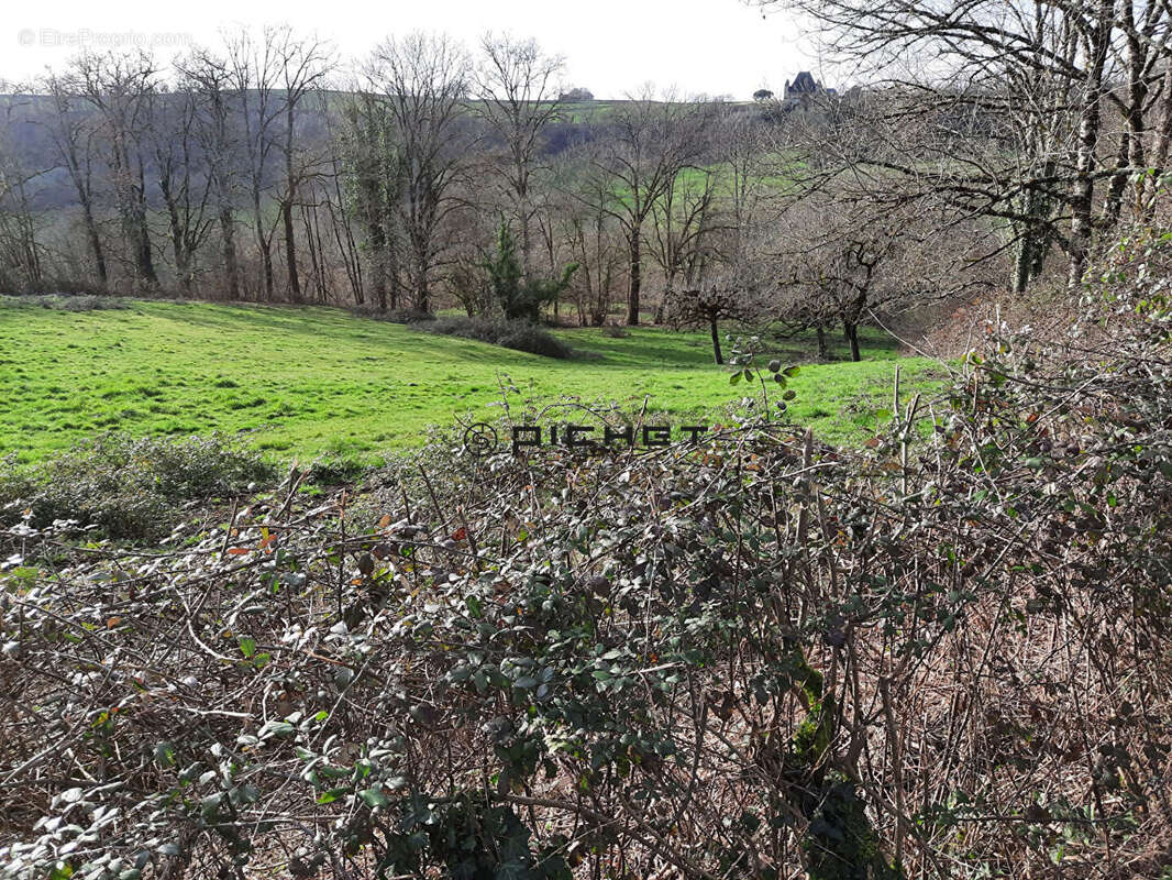 Terrain à SAILLAC