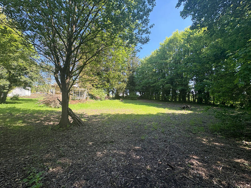 Terrain à PANCY-COURTECON