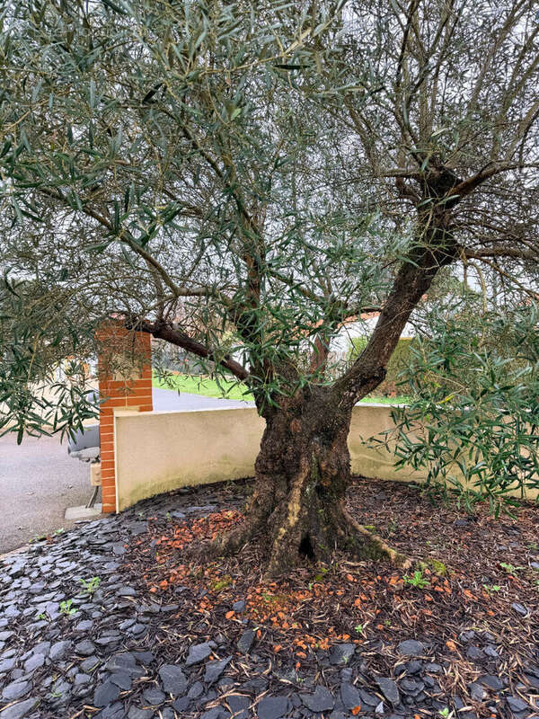 Maison à LA BERNERIE-EN-RETZ