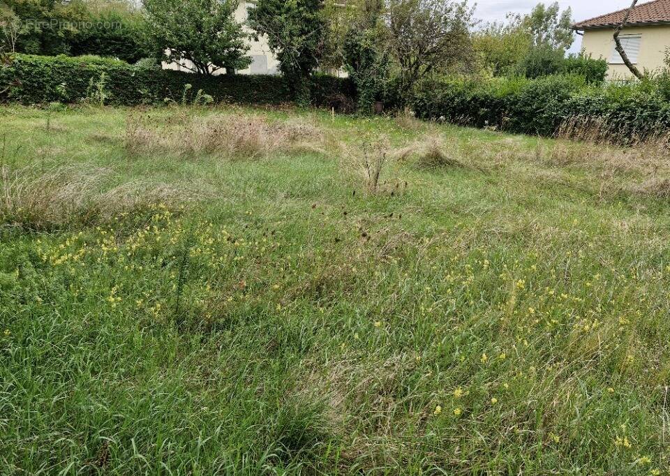 Terrain à RILLIEUX-LA-PAPE