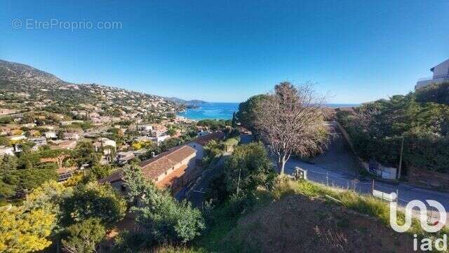 Photo 5 - Terrain à LE LAVANDOU