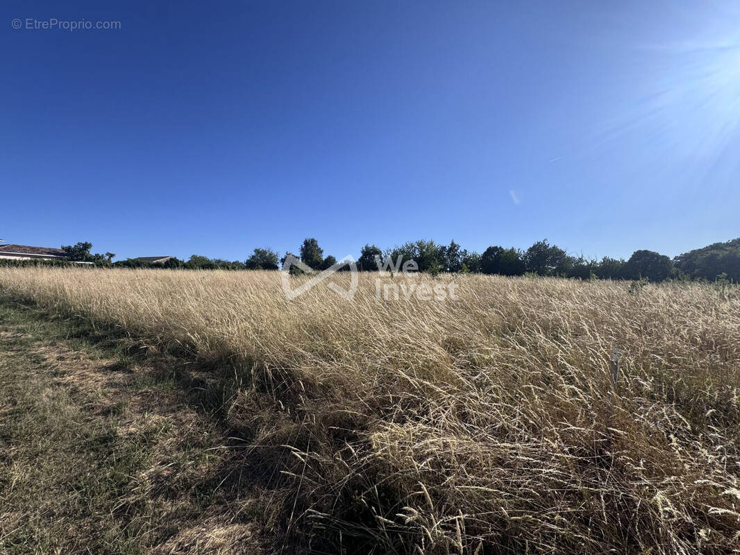 Terrain à BOURRET