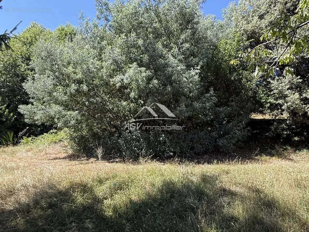 Maison à SAINT-PRIVAT-DE-VALLONGUE