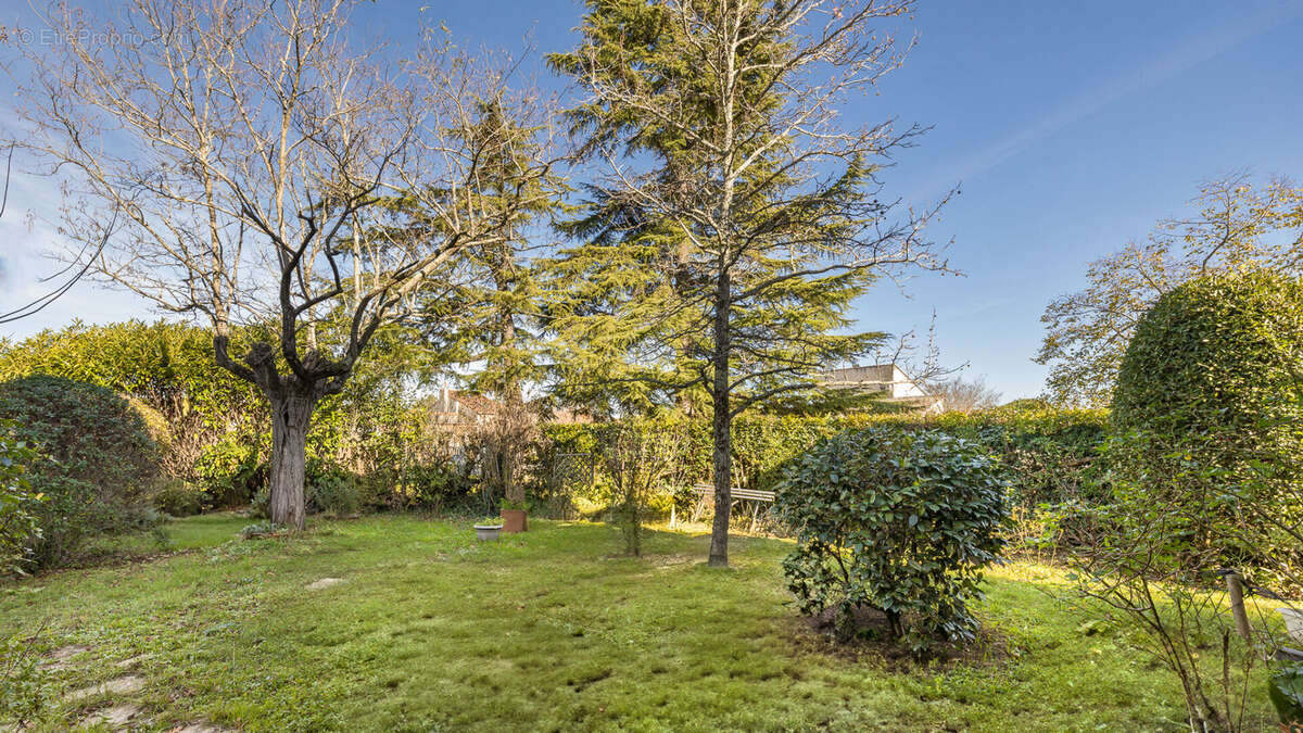 Maison à VILLENEUVE-TOLOSANE