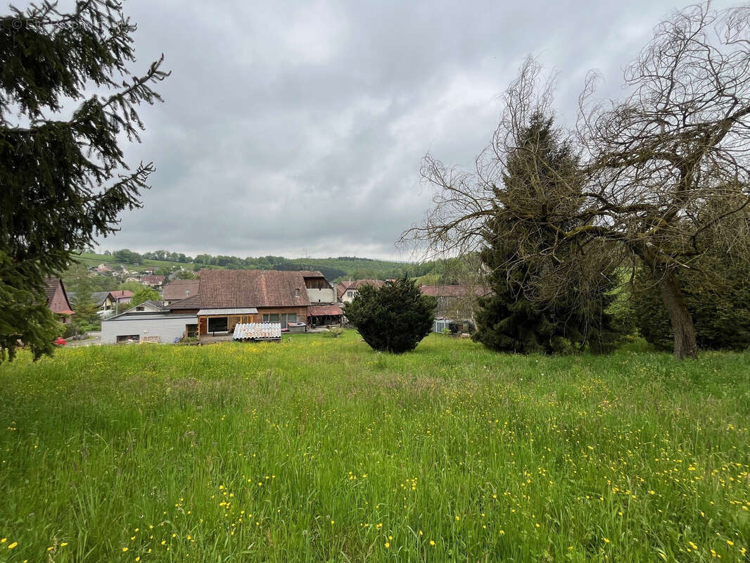 Bendorf magnifique terrain constructible a bendorf - photo 4