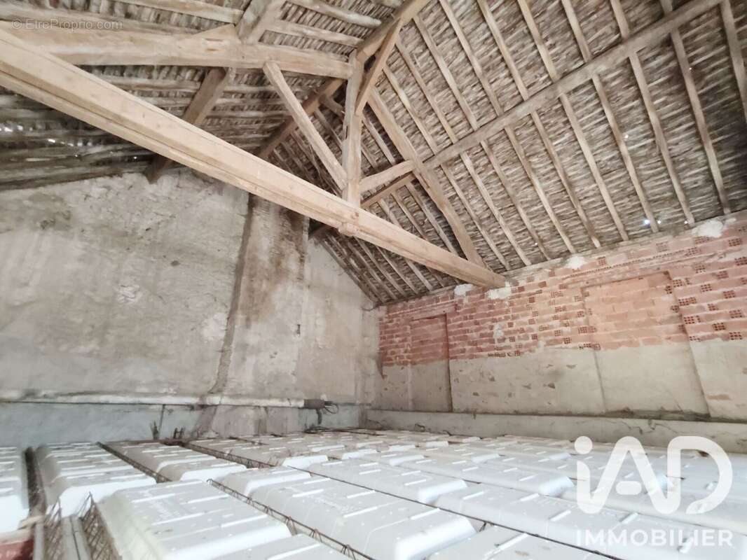 Appartement 210 m² à Egreville  - photo 4