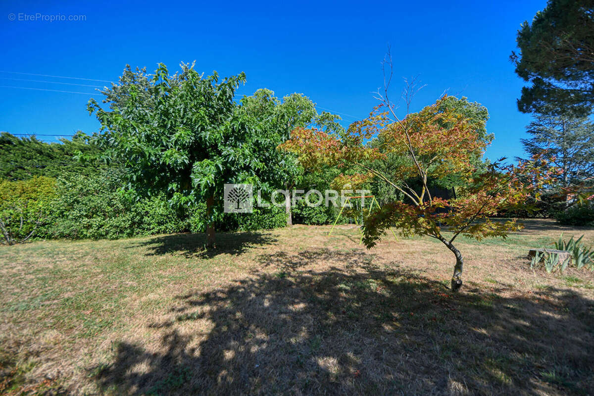 Maison a vendre proche de lisle-sur-tarn - photo 11