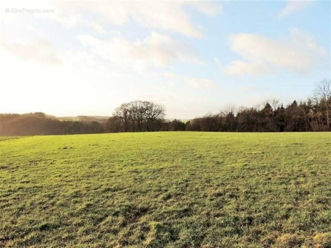 Photo 1 - Terrain à CONSAC