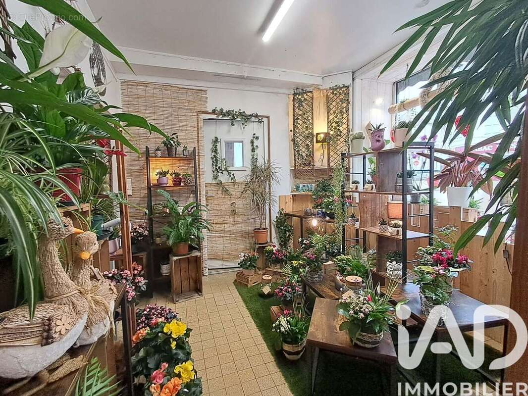 Photo 7 - Appartement à BRIENON-SUR-ARMANCON