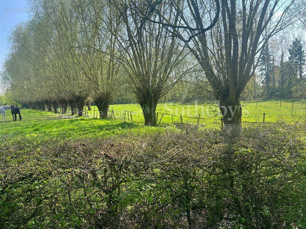 Maison à VILLENEUVE-D&#039;ASCQ