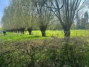 Maison à VILLENEUVE-D&#039;ASCQ