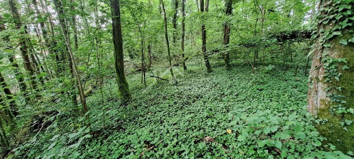 Terrain à PONT-A-MOUSSON