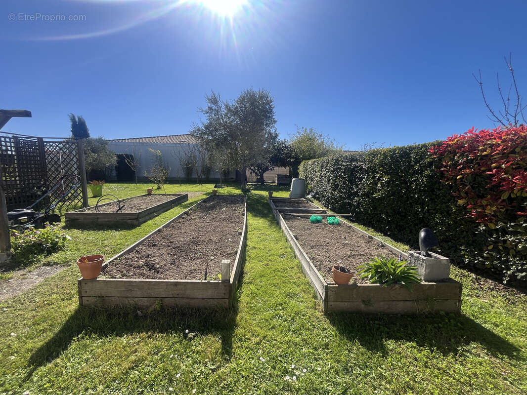Maison à MESCHERS-SUR-GIRONDE
