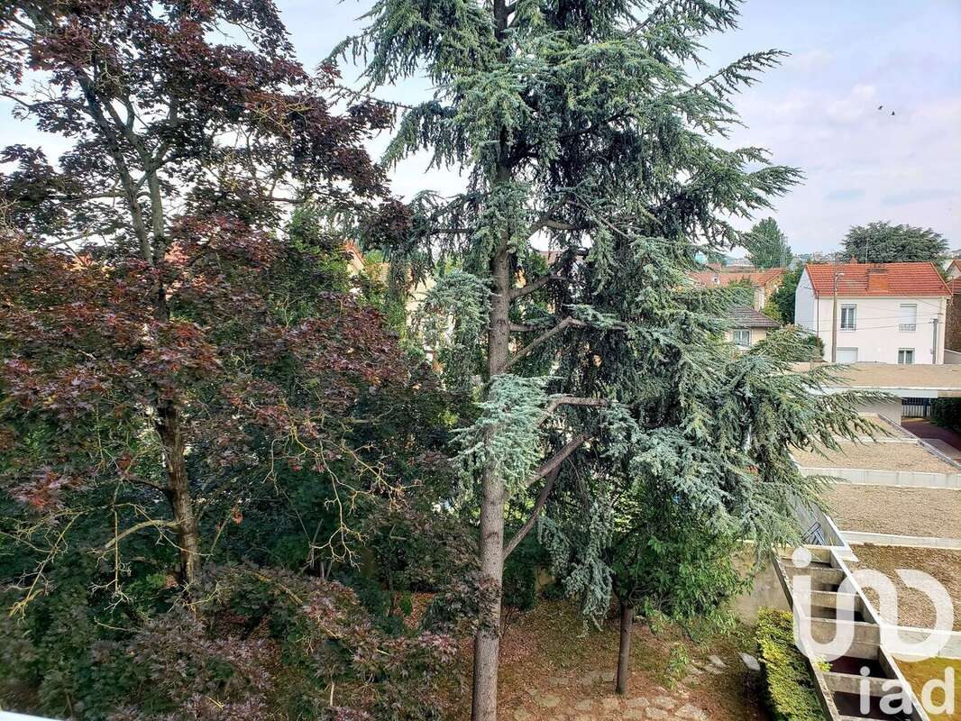 Photo 7 - Appartement à VILLENEUVE-LE-ROI