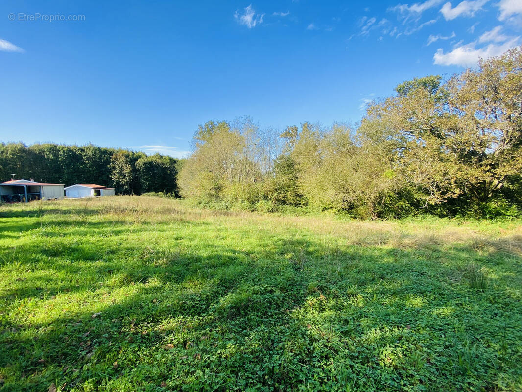 Terrain à CASTELNAU-CHALOSSE