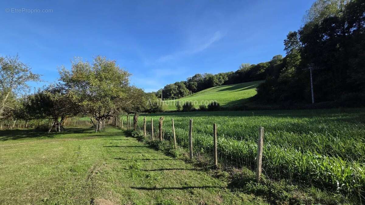 Terrain à SERMERIEU