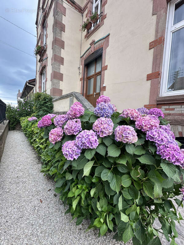 Maison à RAON-L'ETAPE
