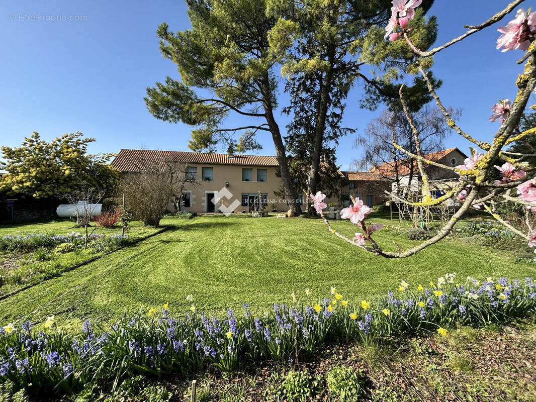 Maison à MARIGNY-BRIZAY