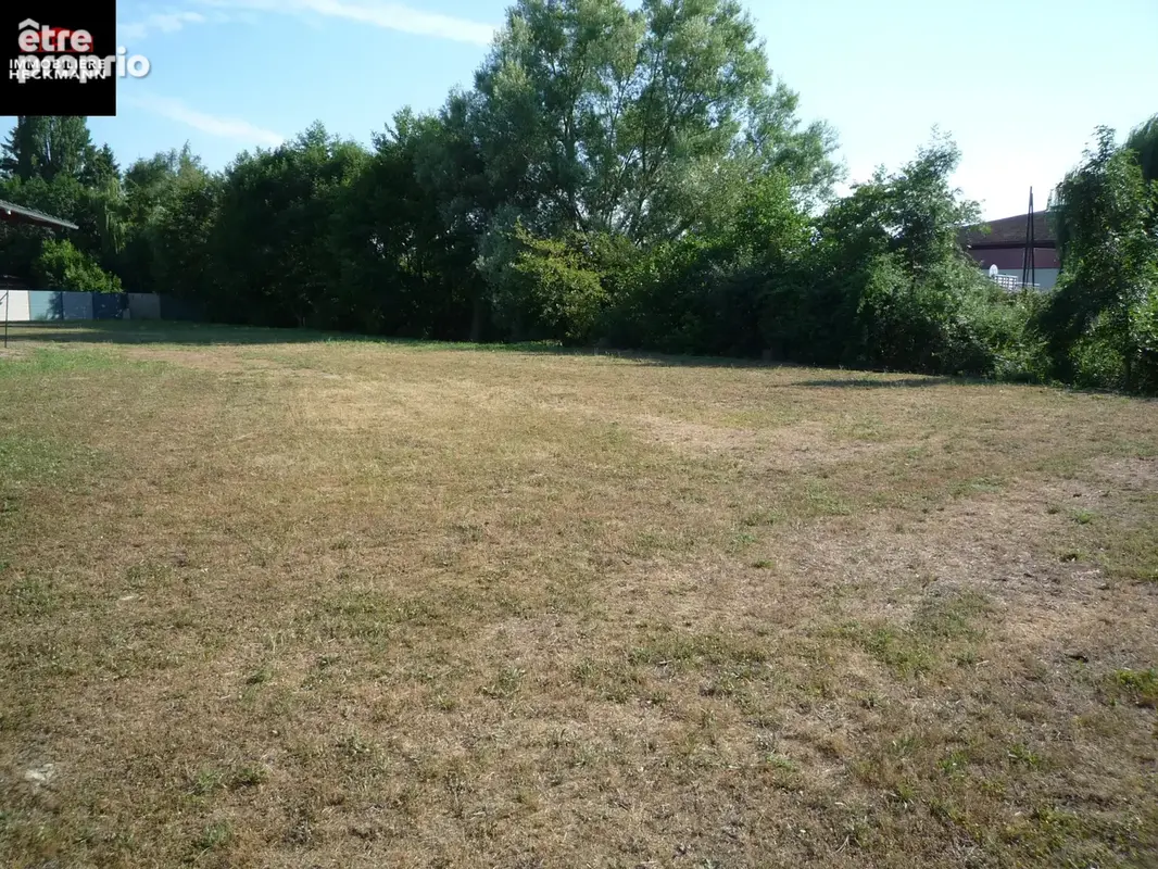 STILL - Proche de MUTZIG - Beau terrain à bâtir viabilisé de 6,70 ares - photo 4
