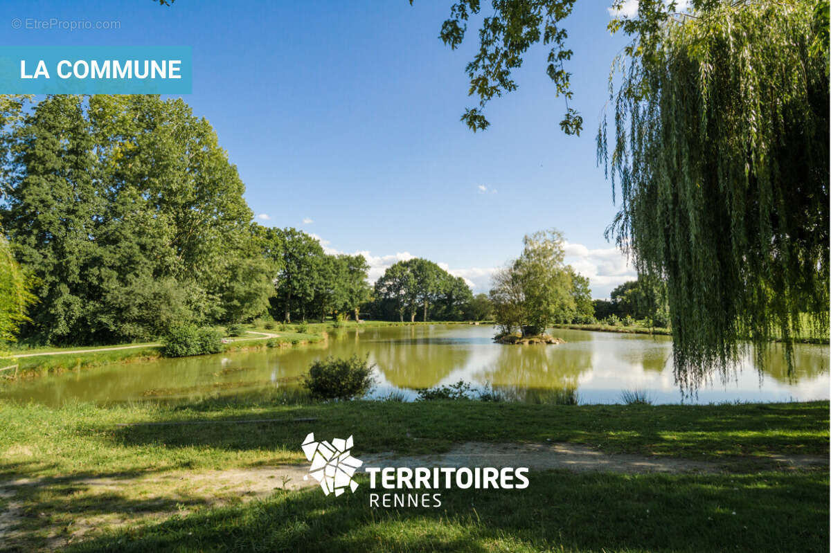 Terrain à CORPS-NUDS