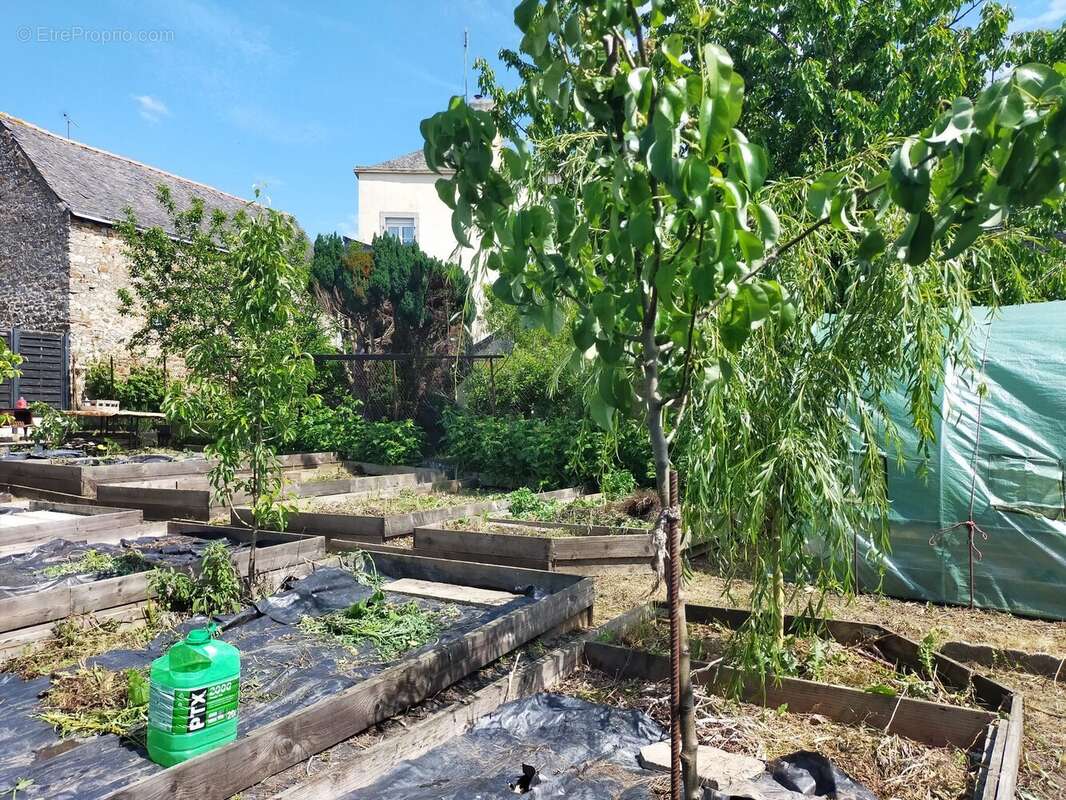 jardin permaculture Andouillé - Terrain à ANDOUILLE