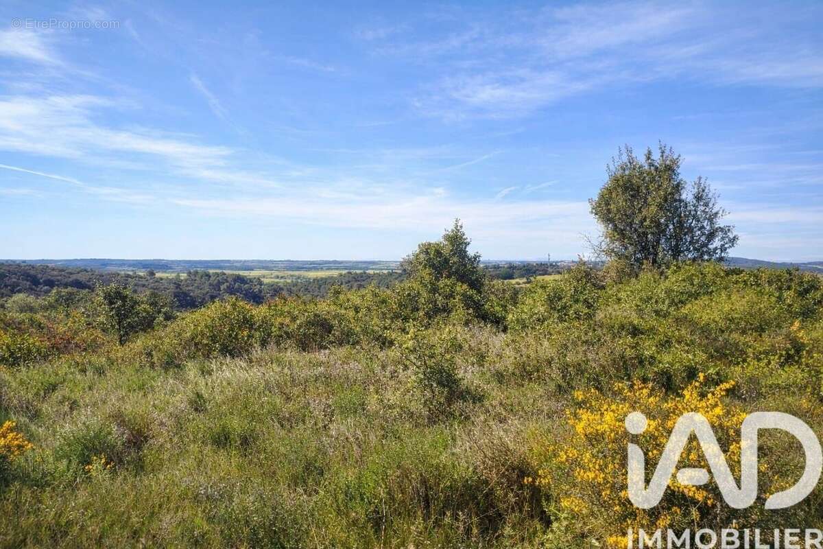 Photo 7 - Terrain à NEFFIES