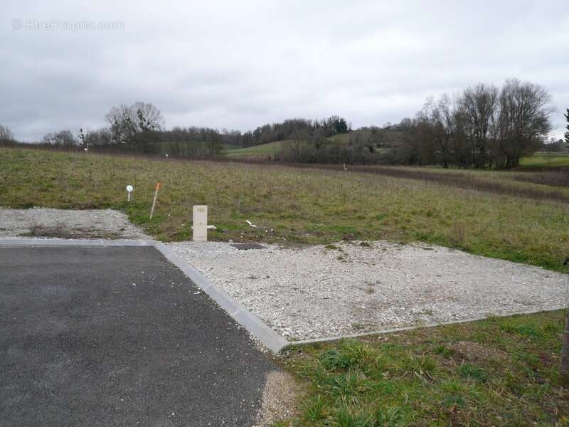 Terrain à SAINT-LAURENT-DE-COGNAC