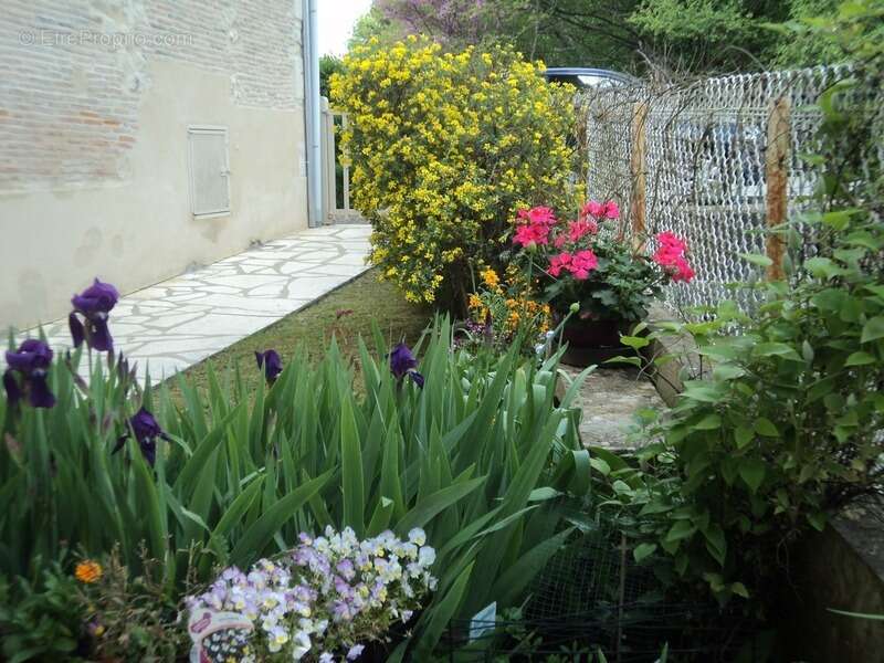 Maison à CHAMPAGNE-MOUTON