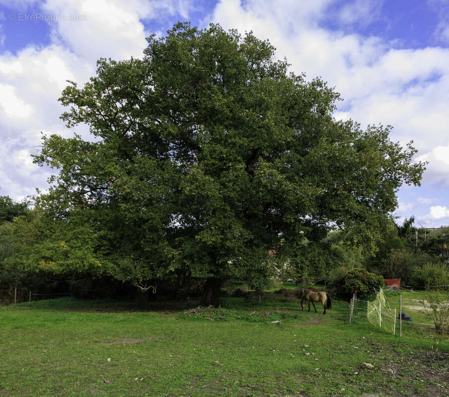 Maison à SAINT-ELOY-LES-MINES