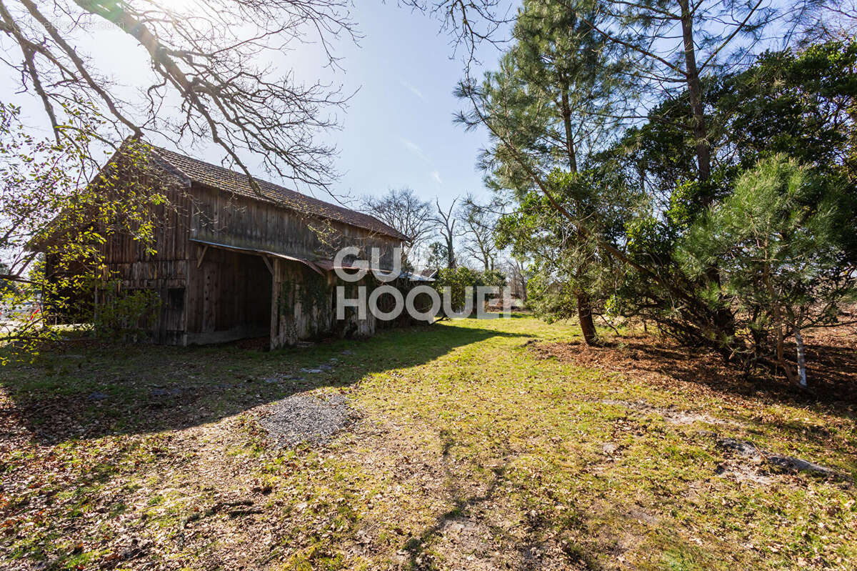 Maison à BISCARROSSE