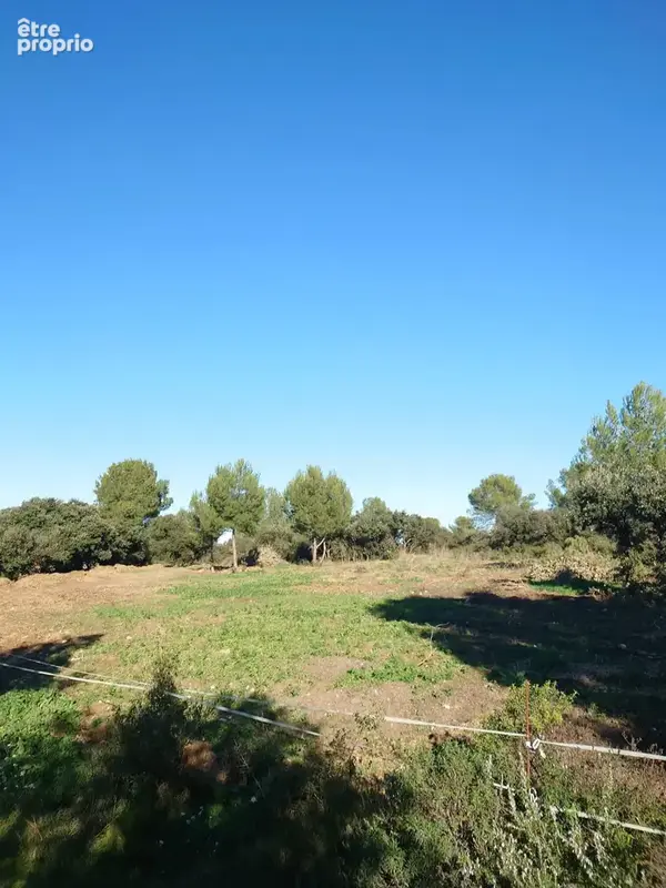 Domaine équestre en activité sur 16h   Un ensemble rare aux portes de MONTPELLIER - photo 9