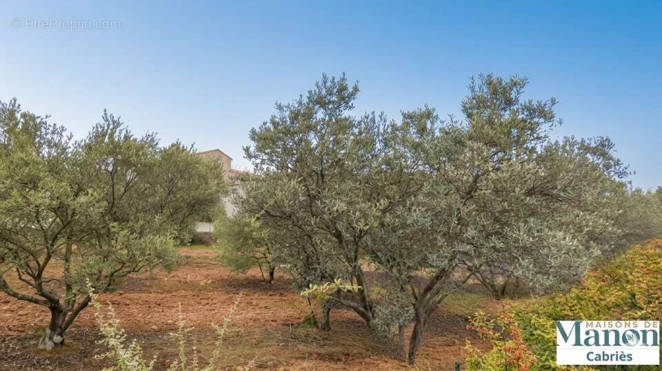 Terrain à POURRIERES