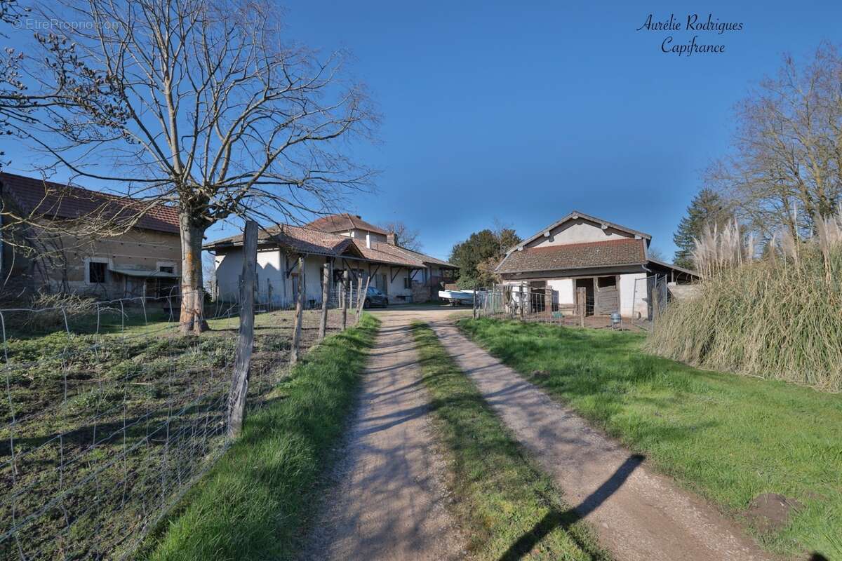 Maison à vendre 4 pièces SAINT ANDRE DE BAGE (01) - photo 14
