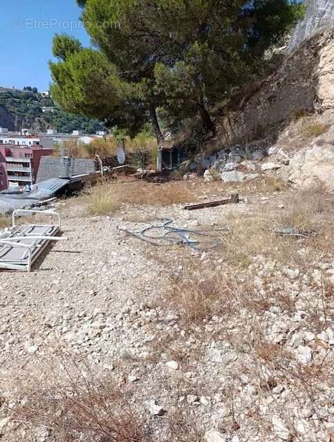 Nice est - terrain avec maison a vendre - photo 10