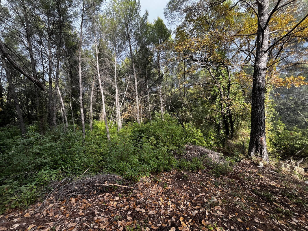 Terrain à DRAGUIGNAN