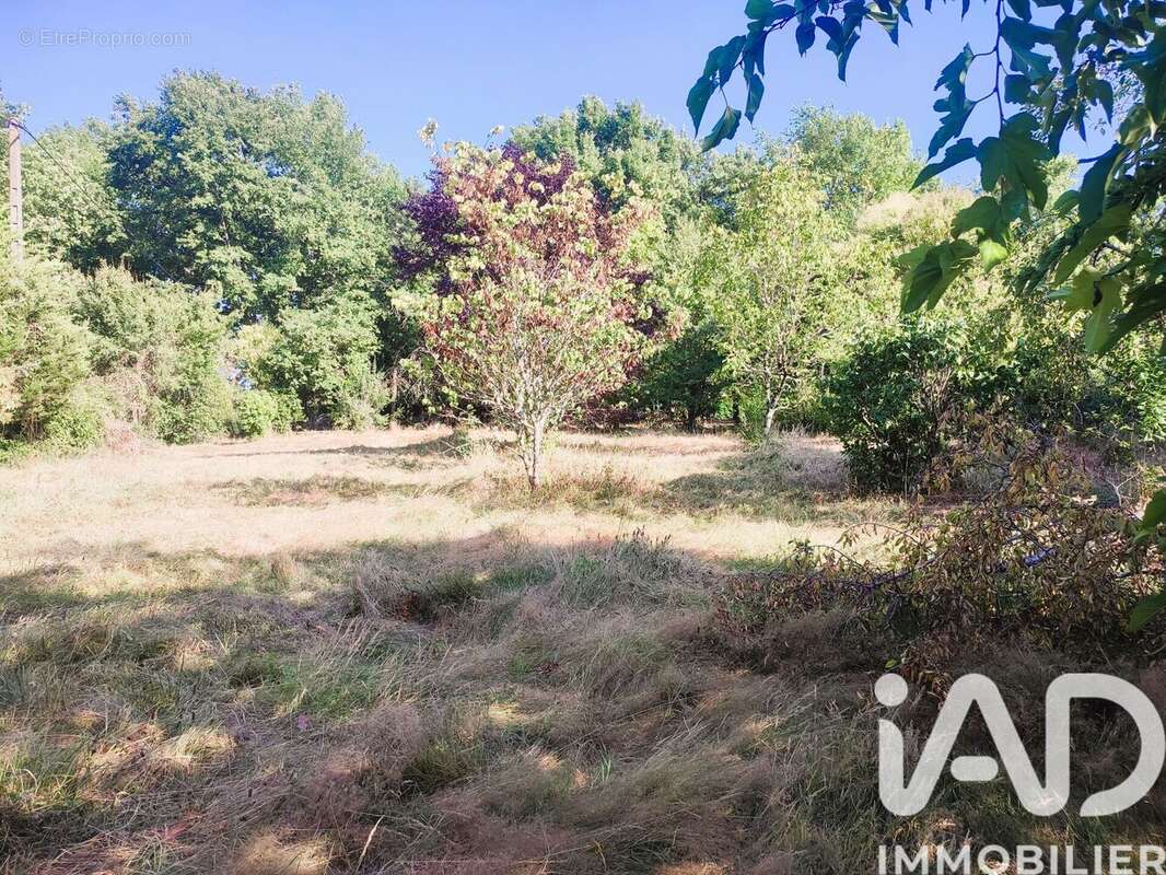 Photo 4 - Terrain à MONTAUBAN