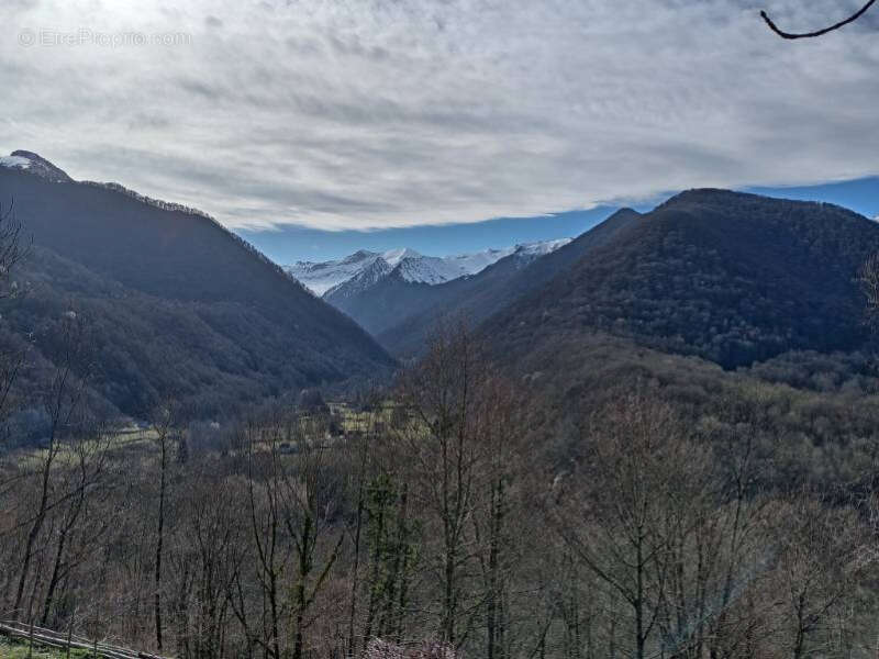 Terrain à CASTILLON-EN-COUSERANS