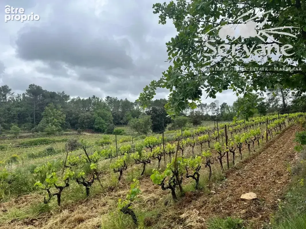 Domaine viticole proche cotignac a vendre - photo 13