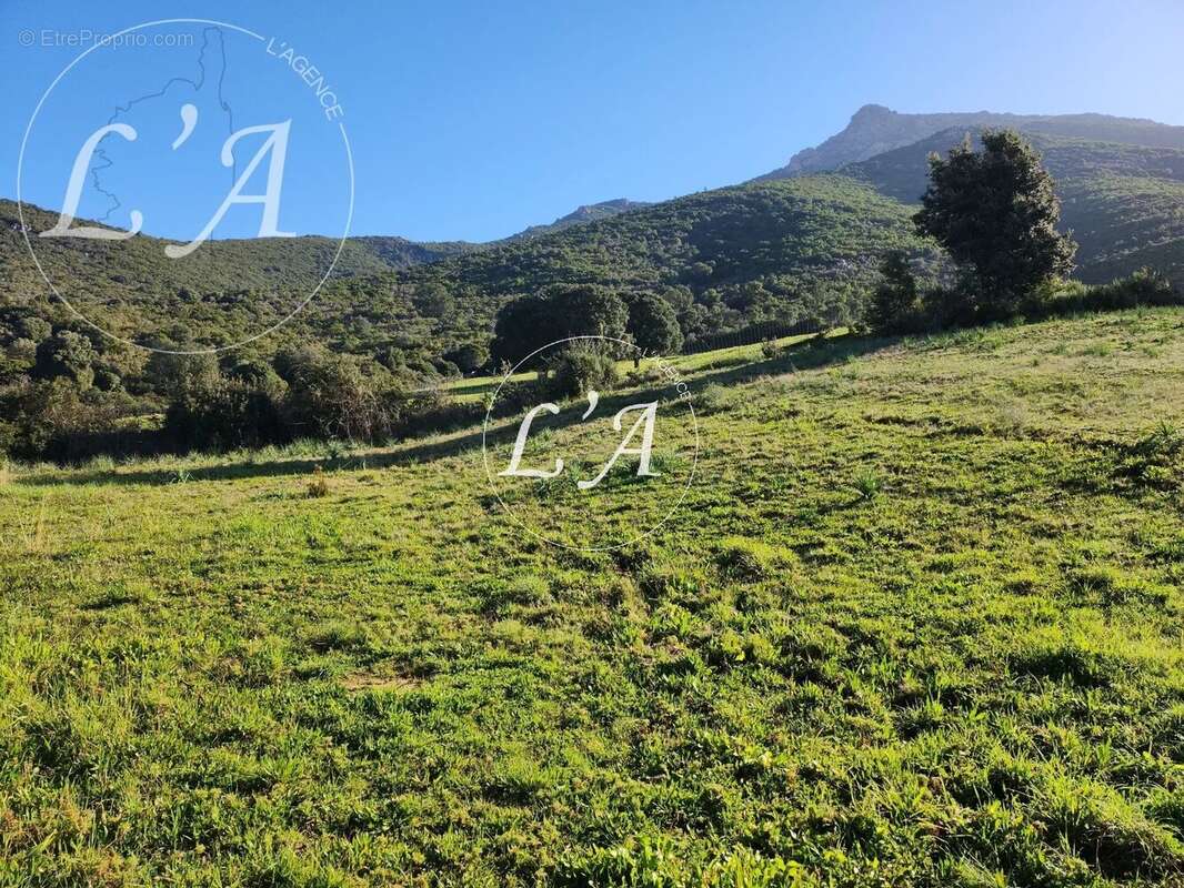 Terrain à BASTELICACCIA