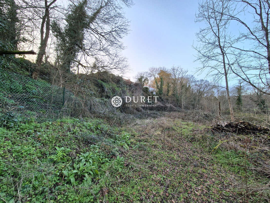 Terrain à LA ROCHE-SUR-YON