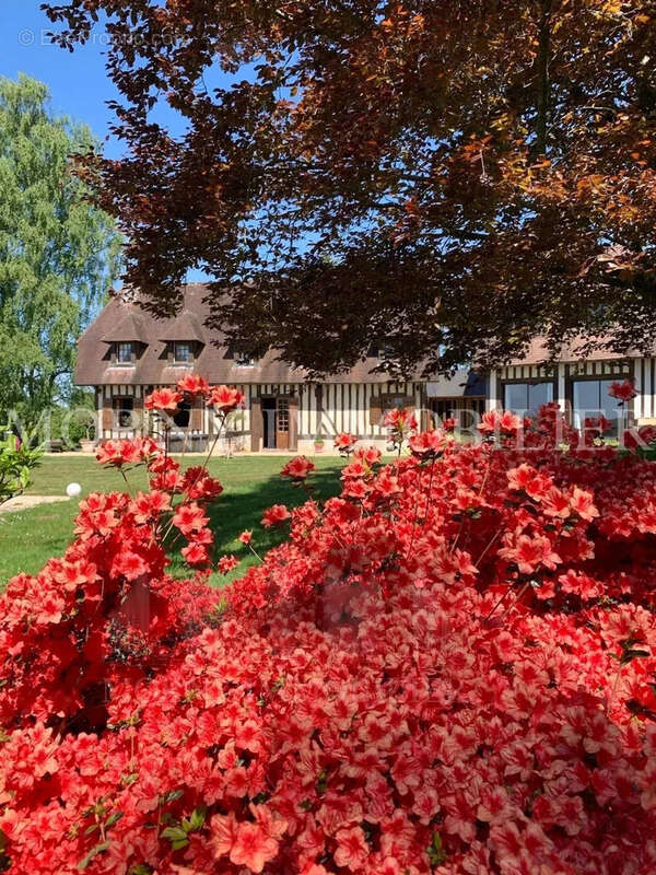 Maison à PONT-L&#039;EVEQUE