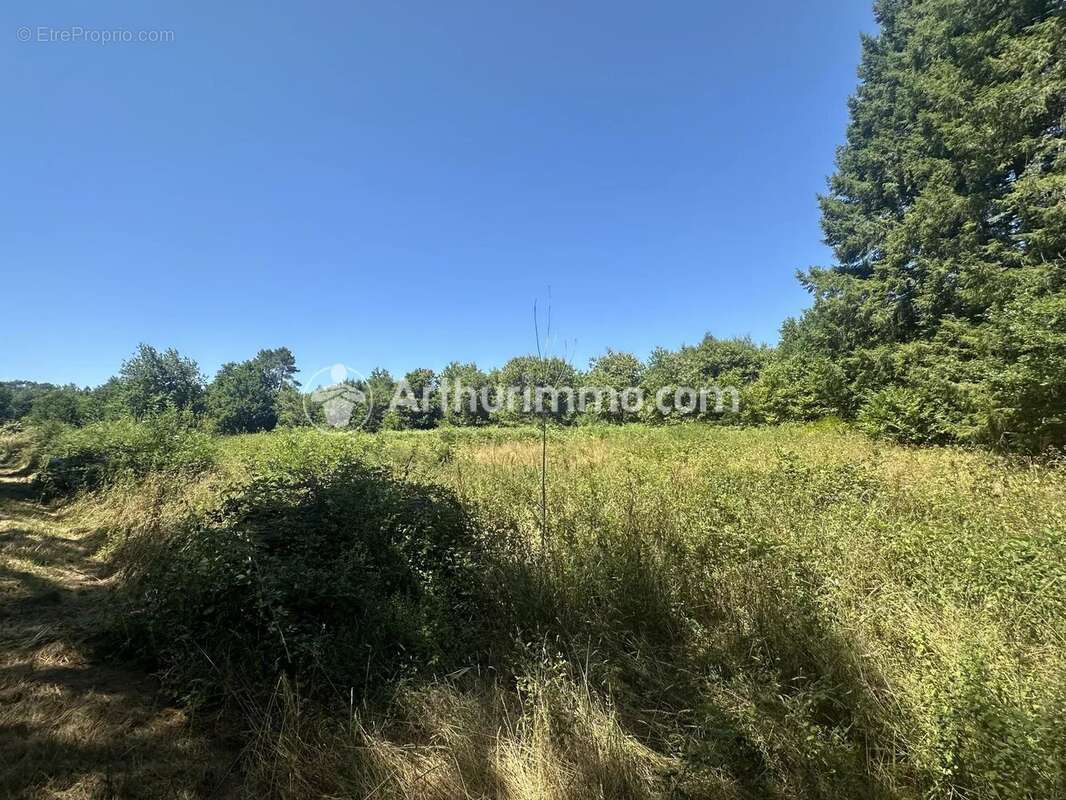 Terrain à bâtir - 3390 m² - photo 5