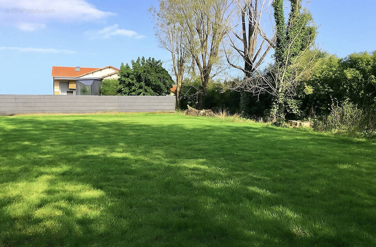 Terrain à L&#039;HERBERGEMENT